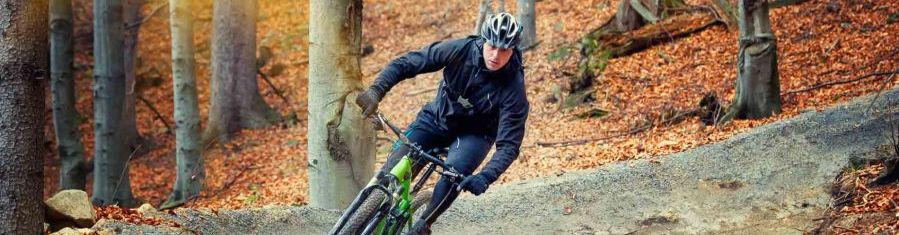 Afbeelding Mountainbiken op de Utrechtse Heuvelrug in 2021